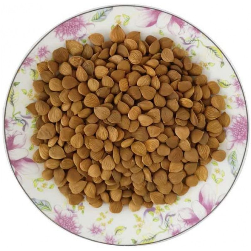 쓴 살구 커널 16oz의 유기 증명 된 자연적인 익지 않는 쓴 살구 살구 씨 1LB