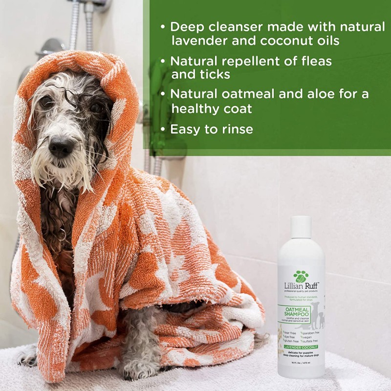Lillian Ruff Oatmeal Dog Shampoo-알로에가 함유 된 라벤더 코코넛 향-건조하고 가려운 피부 탈취 및 진정-중 / 민감성 피부를위한 부드러운 클렌저 (목욕 브러시가있는 16 온스)