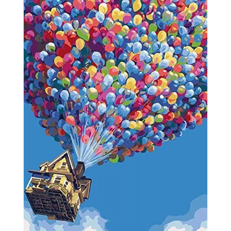 DoMyArt DIY 유화, 픽사 UP- 주요 테마 16X20 인치 페인트
