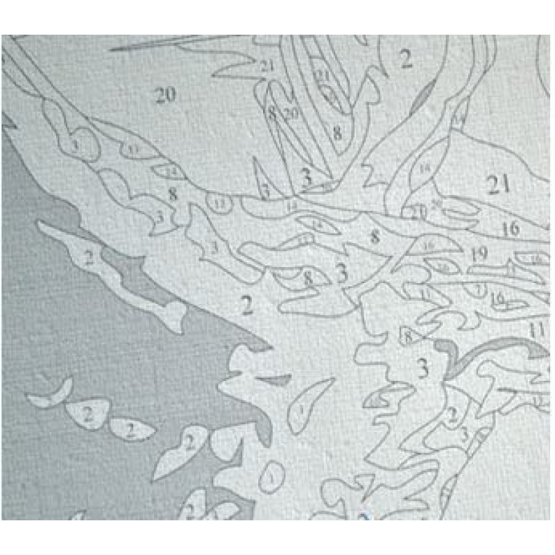 DoMyArt DIY 유화, 픽사 UP- 주요 테마 16X20 인치 페인트