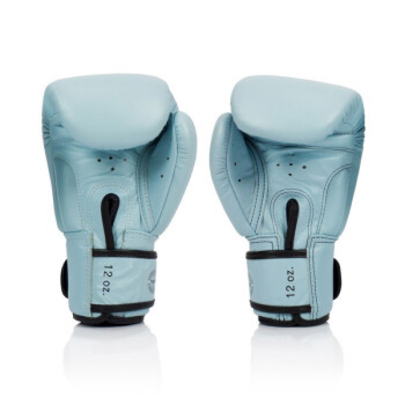 Fairtex 남여공용 BGV20 권투 피트니스 훈련 산다 글러브 블루 12온스