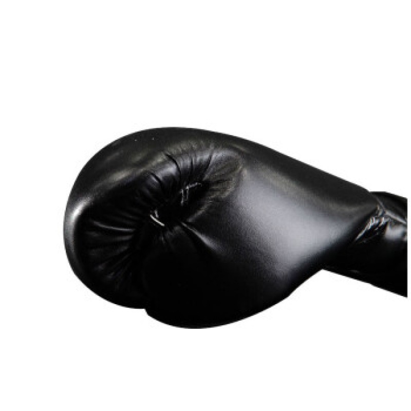 Fairtex 태국 복싱 글러브 BGV14SB 산다  훈련 장갑 블랙 12온스