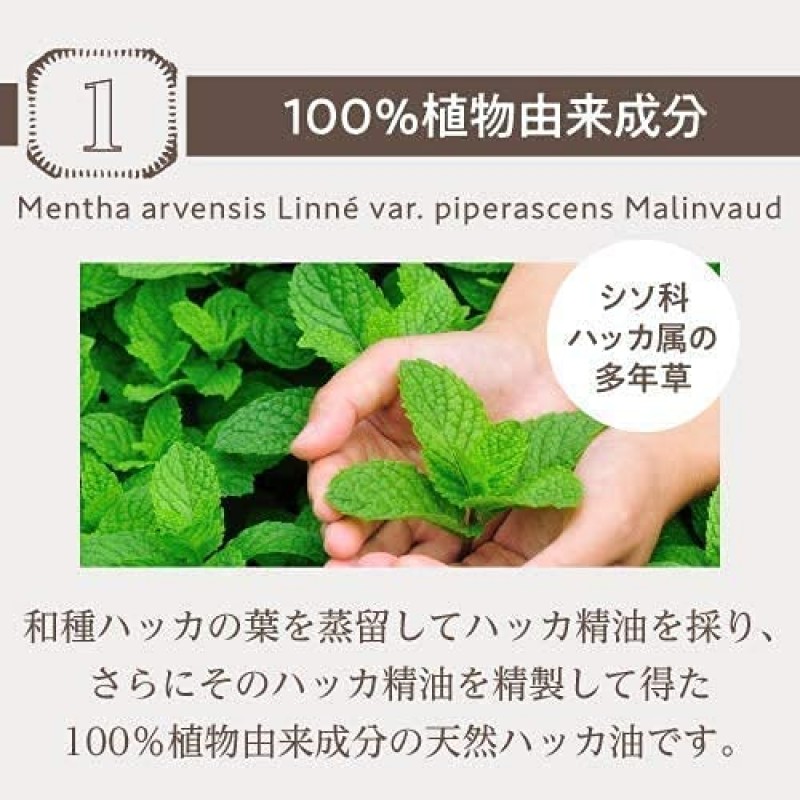 천연 박하유 100% 일본제 대용량 200mL 2개 세트 Mentha Oil 100