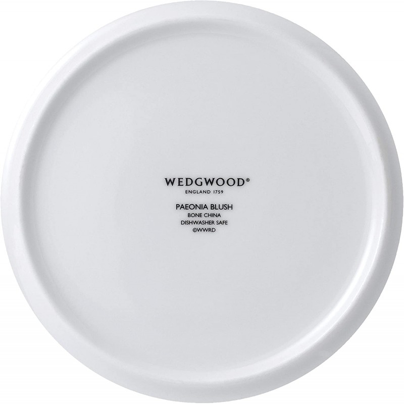 Wedgwood 웨지우드 파이오니아 블러쉬 450ml, 티 포 원 블루/레드