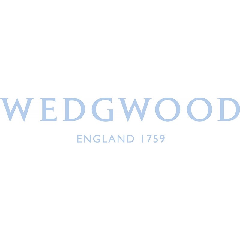 Wedgwood 웨지우드 파이오니아 블러쉬 450ml, 티 포 원 블루/레드