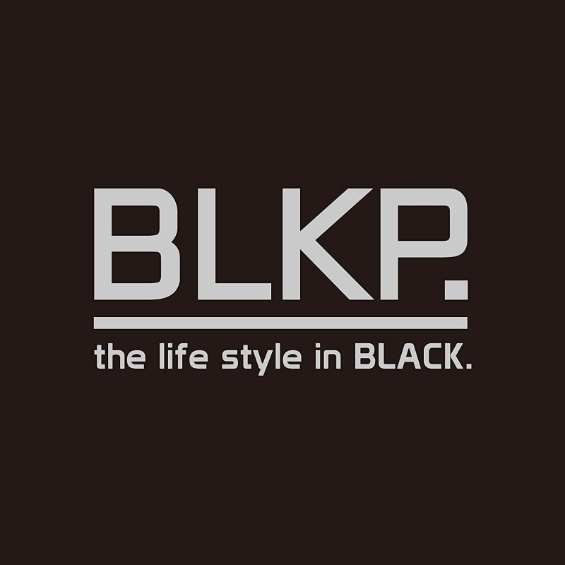 【BLKP】 펄 금속 도시락 상자 2단 일본제 한정 블랙 전자 레인지 대응 BLKP 블랙 AZ-5046