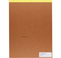 Strathmore Bristol Vellum 종이 패드 9X12 - 20매