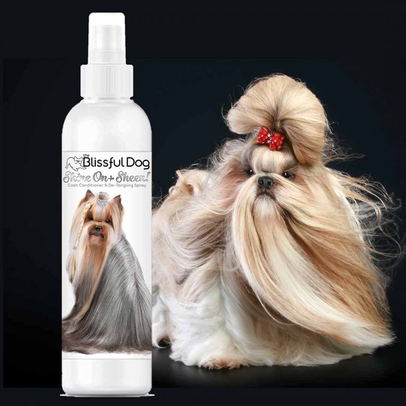 The Blissful Dog Shine-On + Sheen Coat Spray, 올 내추럴, 리브인 컨디셔너, 8온스/ 237ml