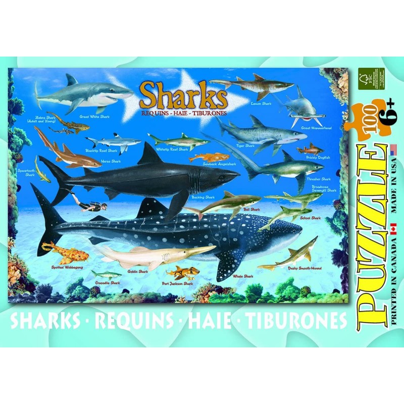 Sharks 상어 100피스 직소 퍼즐