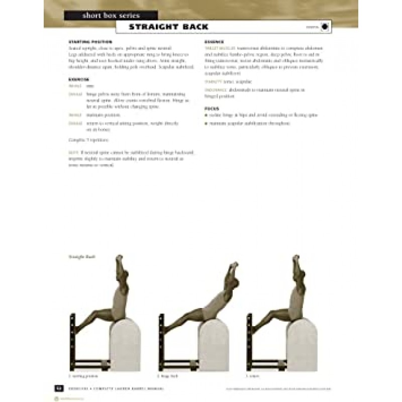 STOTT 필라테스 매뉴얼 전체 사다리 배럴