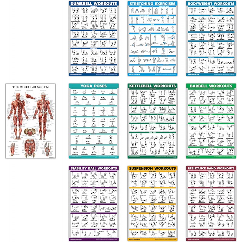 QuickFit 10Pack  운동 포스터 세트 - 덤벨, 서스펜션, 케틀벨, 저항 밴드, 스트레칭, 체중, 바벨, 요가 포즈, 운동 볼, 근육 시스템 차트 (18x27인치)