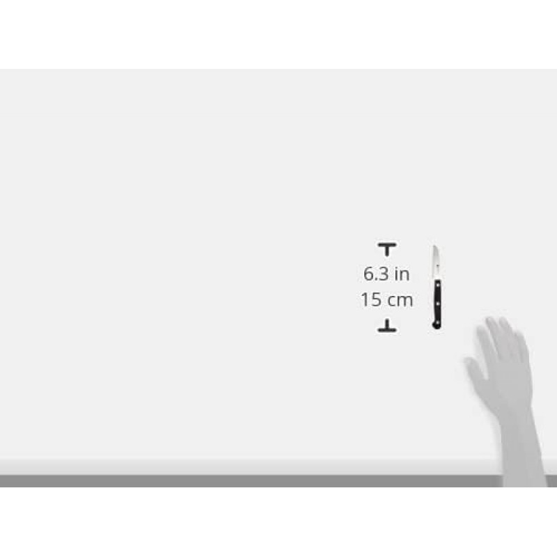 즈윌링 트윈 미식가 야채 칼 스테인리스 스틸 냉경화 블레이드 야채 과일 나이프 70mm