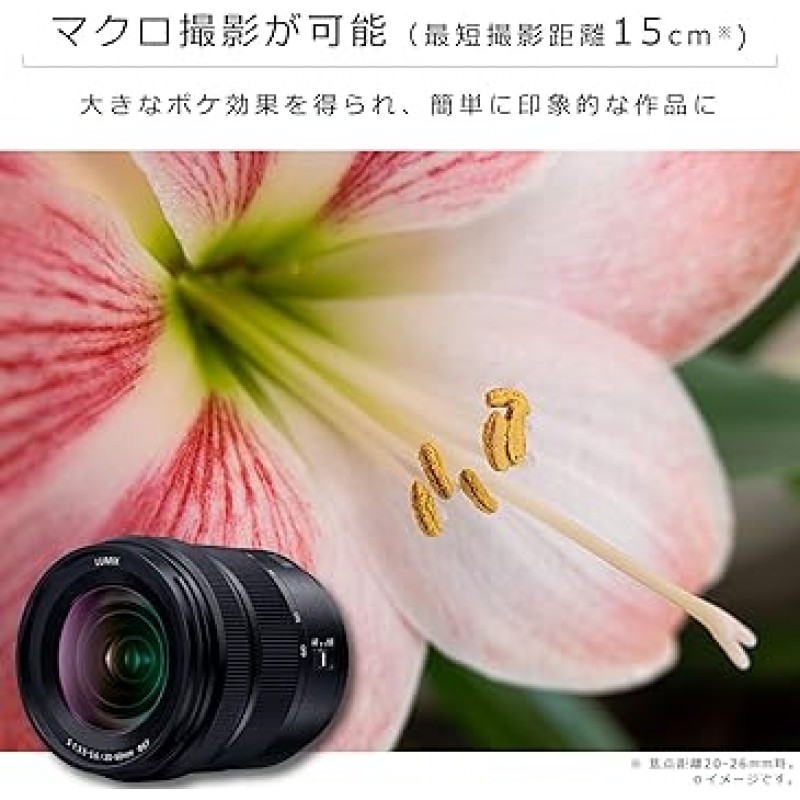 Panasonic S-R2060 표준 줌 렌즈, 풀 사이즈 미러리스 SLR, L 마운트 시스템, Lumix LUMIX S, 0.8 - 2.4인치(20 - 60mm), F3.5-5.6, 블랙