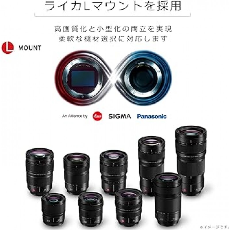 Panasonic S-R2060 표준 줌 렌즈, 풀 사이즈 미러리스 SLR, L 마운트 시스템, Lumix LUMIX S, 0.8 - 2.4인치(20 - 60mm), F3.5-5.6, 블랙