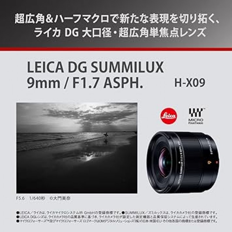 DSLR 카메라용 Panasonic LUMIX H-X09 카메라 렌즈 교환식 렌즈