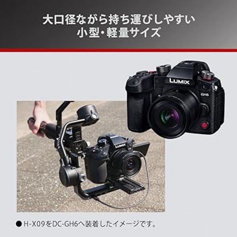 DSLR 카메라용 Panasonic LUMIX H-X09 카메라 렌즈 교환식 렌즈