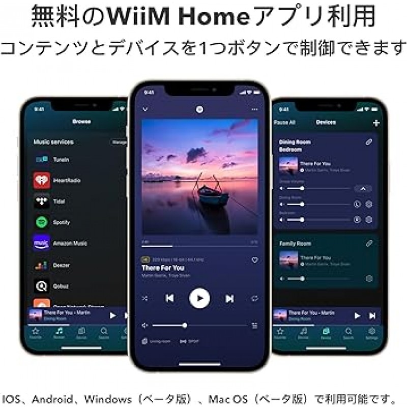 WiiM Pro AirPlay 2 수신기, Chromecast Audio, WiFi Multiroom Streamer, Alexa, Siri, Google Assistant, Spotify, Amazon Music, Tidal 등과 같은 고해상도 오디오 스트리밍