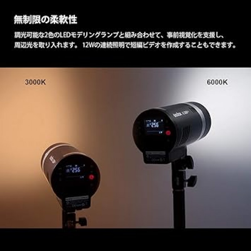 Godox AD300Pro 플래시 스트로브 BD-10 헛간 도어 세트 원격 제어 300W 2.4G 1/8000HSS 2색 모델링 5600±100K 0.01-1.8S 재활용 시간 300 최대 전력 팝 12W 밝기 조정 가능 스튜디오 헛간 도어, 벌집 그리드 및 컬러 필터 [ 병행수입]