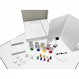나만의 보드게임 만들기 (Deluxe Blank Board Game) 종이, 보드게임