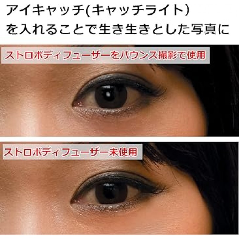 HAKUBA DSD-CL2M 클립온 밀짚바디 정착기, 2방향, M