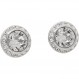 (Swarovski) Swarovski 1081942 Angelic anjerikku Earrings Silver/Clear [parallel import goods] [병행 수입품]