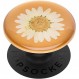 PopGrip Pressed Flower 화이트 데이지 POPSOCKETS 스마트폰 링 스마트폰 스탠드 스마트폰 그립 스마트폰 액세서리 iPhone Android
