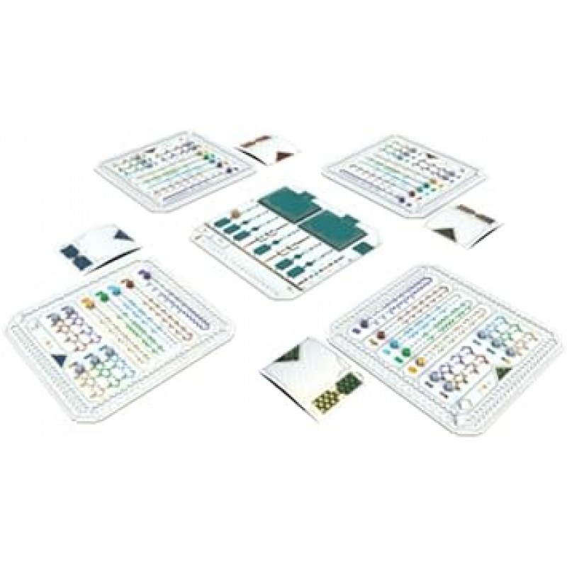 Great Split: Great Distribution Board Game 일본어 버전