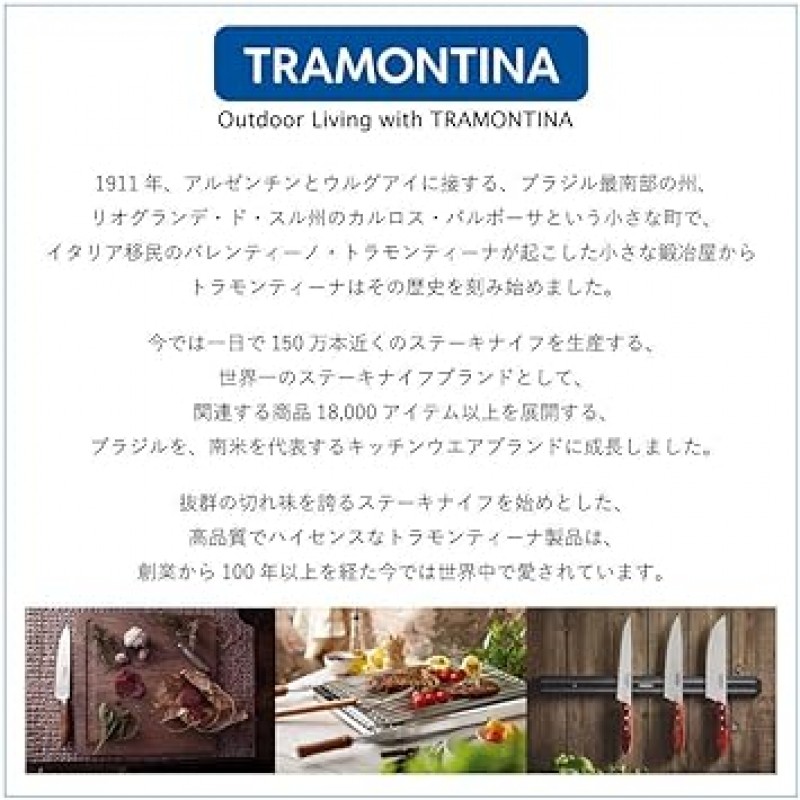 Tramontina Carving Fork Ultra Corte 11.8인치(30cm), 항균 손잡이, 브라질산 23865/000 TRAMONTINA