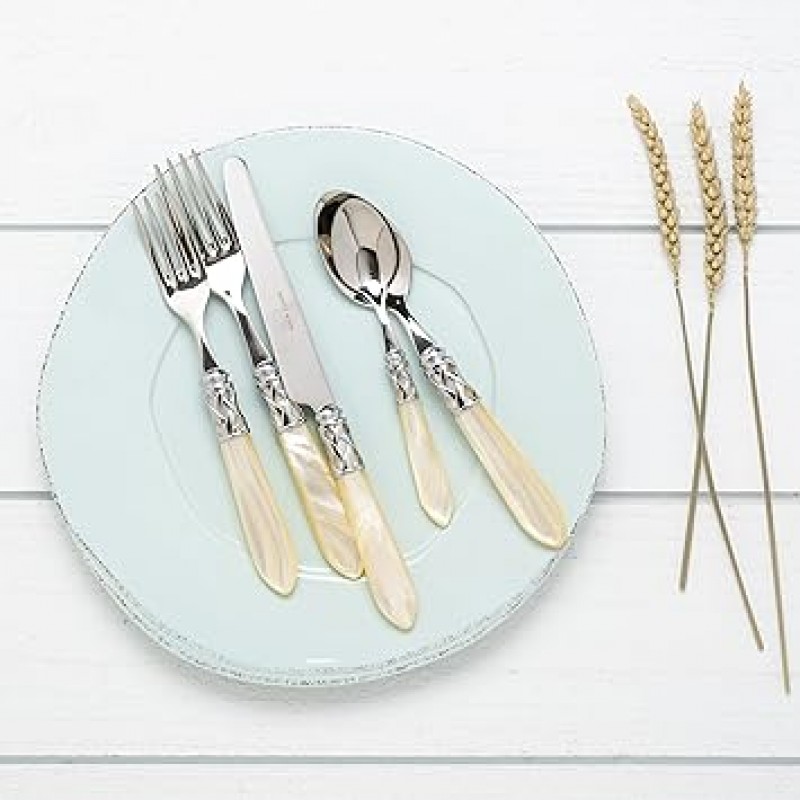 Aladdin 5 Piece Flatware 세트 마무리: Brilliant 아이보리