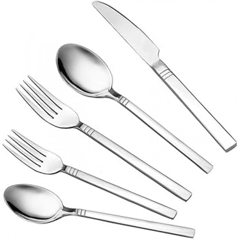 fIaze 스테인레스 스틸 Flatware, 60-piece 세트, 서비스 for 12