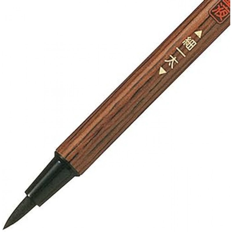 미쓰비시 연필 PFK302N 부모-자식 브러시 펜, 굵고 가는 포인트, 10개