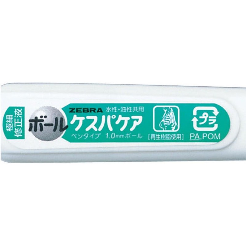 얼룩말 교정 펜 보루케스파 케어 팩 10 B – CKR – 1