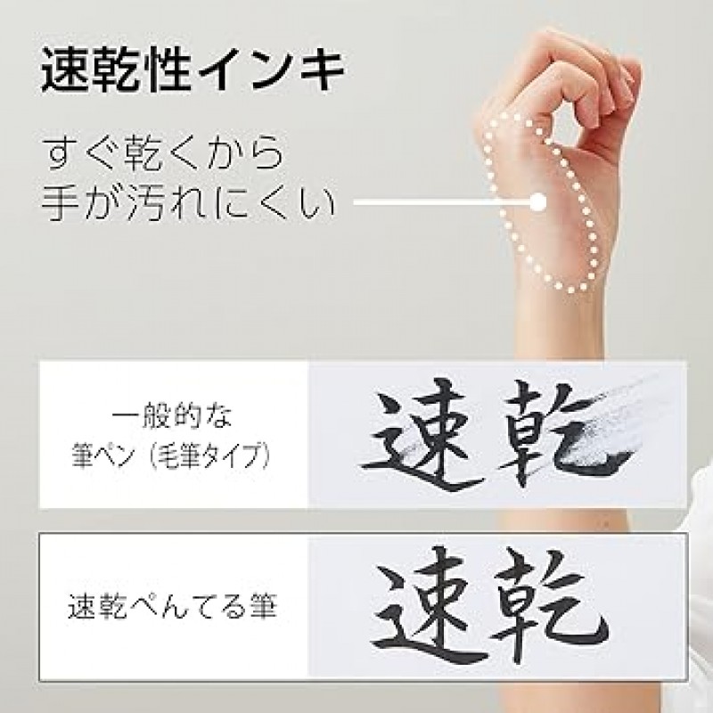 펜텔 XFPD5L 브러시 펜, 빠른 건조, 미디엄 포인트, 10개