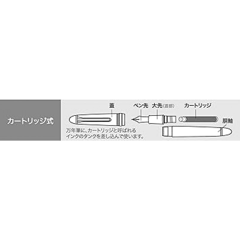 세일러 11-0700-420 레글라스 만년필, 블랙, 미디엄 포인트