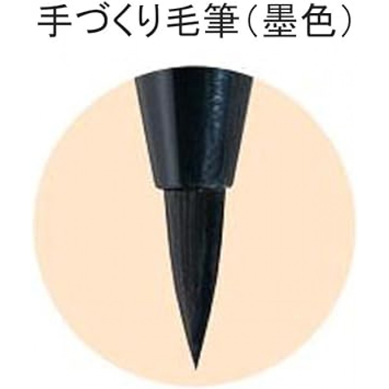 아카시야 SA-300 브러시 펜, 새 브러시, 블랙, 5개 세트