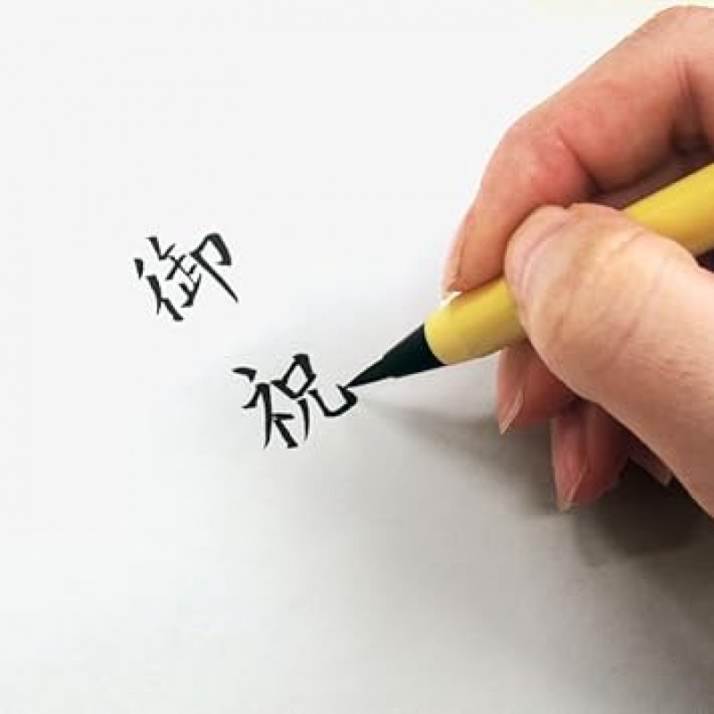 아카시야 SA-300 브러시 펜, 새 브러시, 블랙, 5개 세트