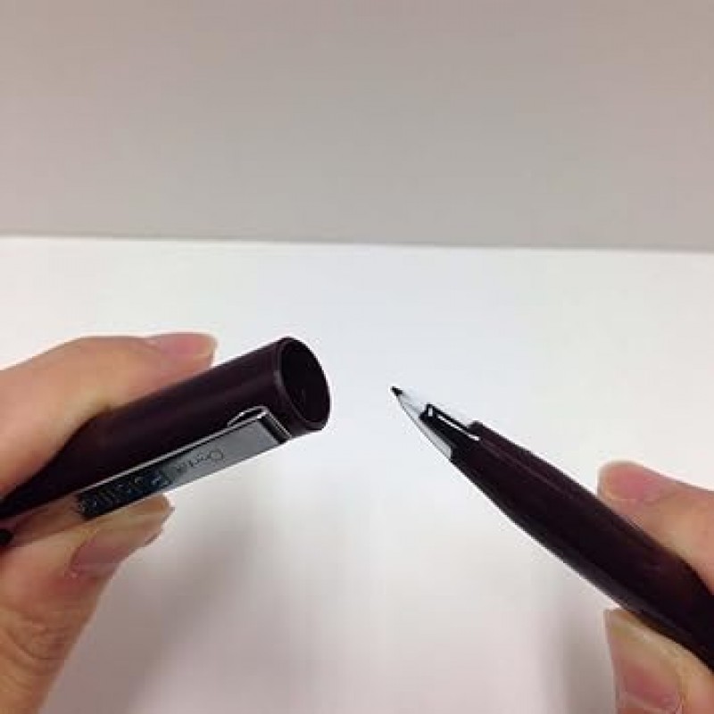 Pentel Plaman JM20-AD 사인펜, 10개 세트, 블랙