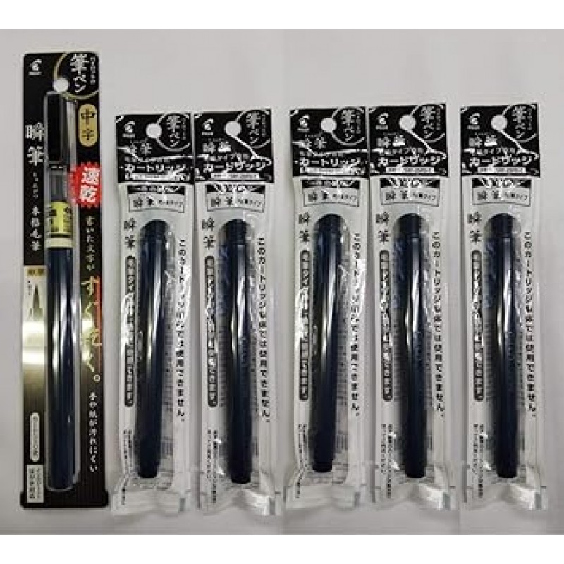 파일럿 SVS-70FDM/SVSRF-25FD-B, 프로페셔널 브리슬, 미디엄 포인트 펜 1개 + 잉크 카트리지 5개, 6종 2종