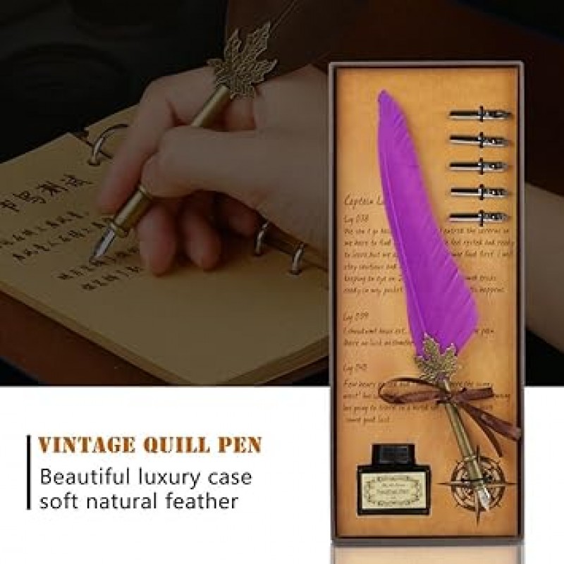 깃털 펜 서예 펜, Writing Quill Ink Dip Pen Set with 잉크and 5점 메탈 Nibs Hand Craft 펜 in 선물 상자