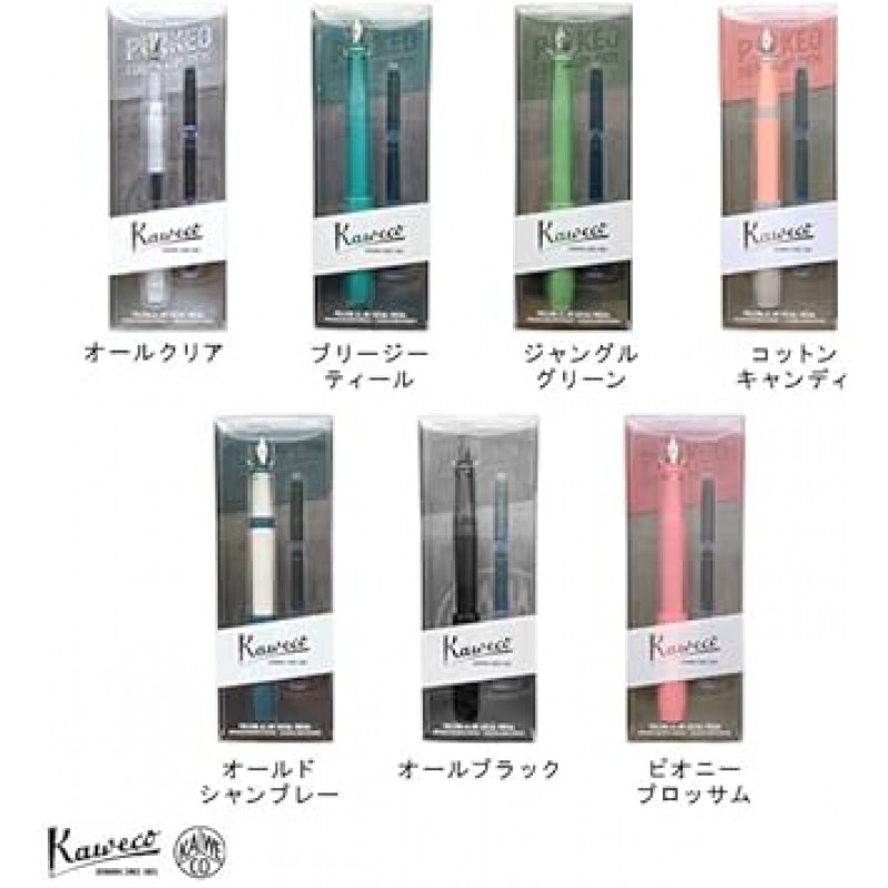 Kaweco 10002229 만년필, F, Fine Point, Pakeo Breezy Teal, 이중 사용, 블리스터