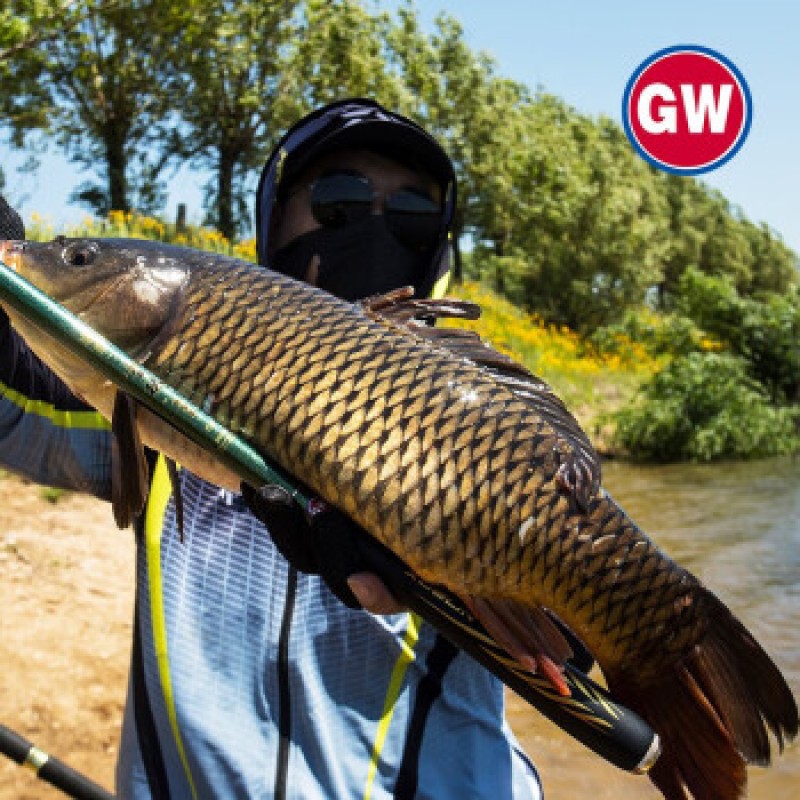 Guangwei (GW) Guangwei 낚싯대 스트림로드 28 조정 가능한 짧은 손 막대 탄소 낚싯대 가볍고 단단한 붕어 야생 낚싯대 Snow Forest Enjoyment Edition 4.5 미터 + 액세서리 세트