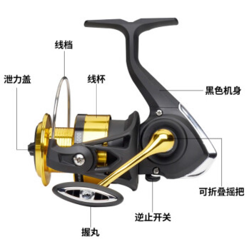 DAIWA 23 신형 RS 소형 스피닝 릴 입문용 경량 낚시 릴 장거리 루어 릴 500