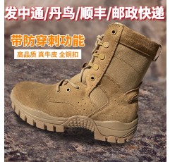 Jihua 새로운 브라운 전투 훈련 부츠 남성용 하이탑 정품 소가죽 하이킹 부츠 야외 초경량 신발 여성용 사막 부츠