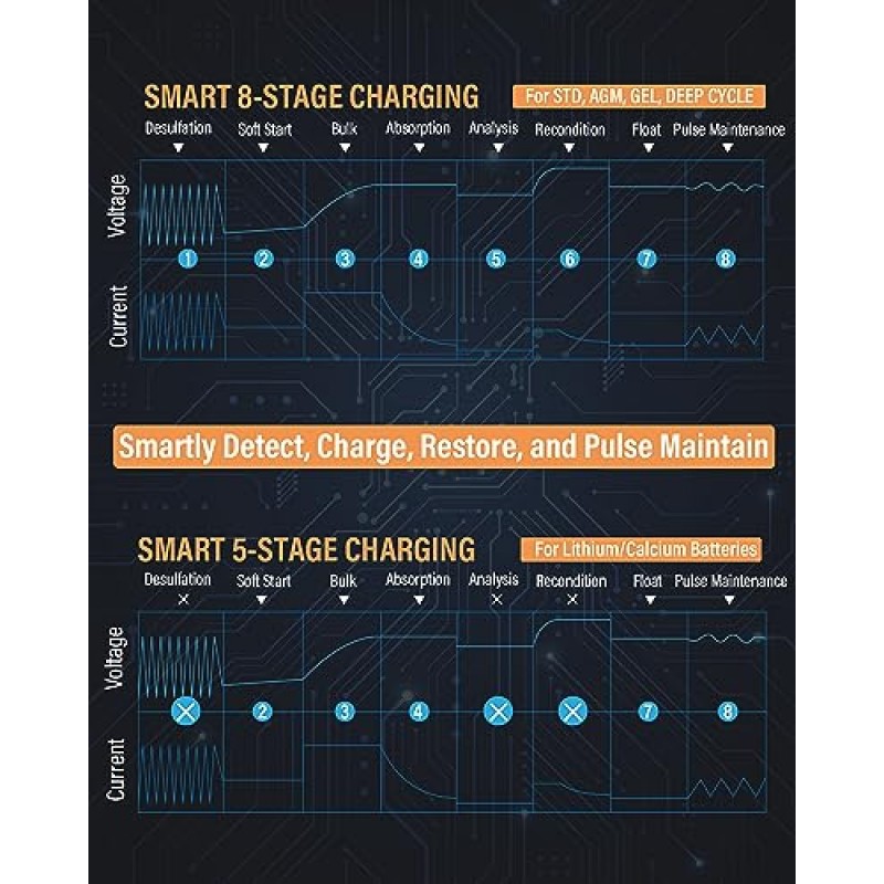 Ampeak 배터리 충전기, 2A/8A/15A 차량용 배터리 충전기, 겨울 모드, 자동 탈황 장치, 배터리 재생 기능이 있는 6V/12V 완전 자동 스마트 배터리 유지 보수 장치, 모든 납산 및 LiFePO4 배터리용
