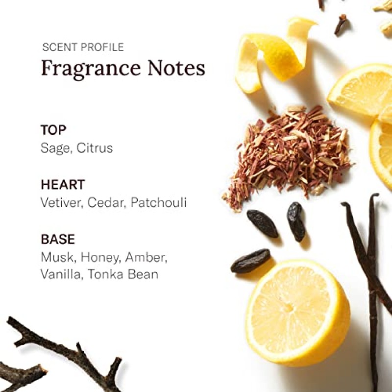 Scent Beauty - Stetson Personal Care - 올데이 바디 스프레이 - 3팩 - Stetson Original