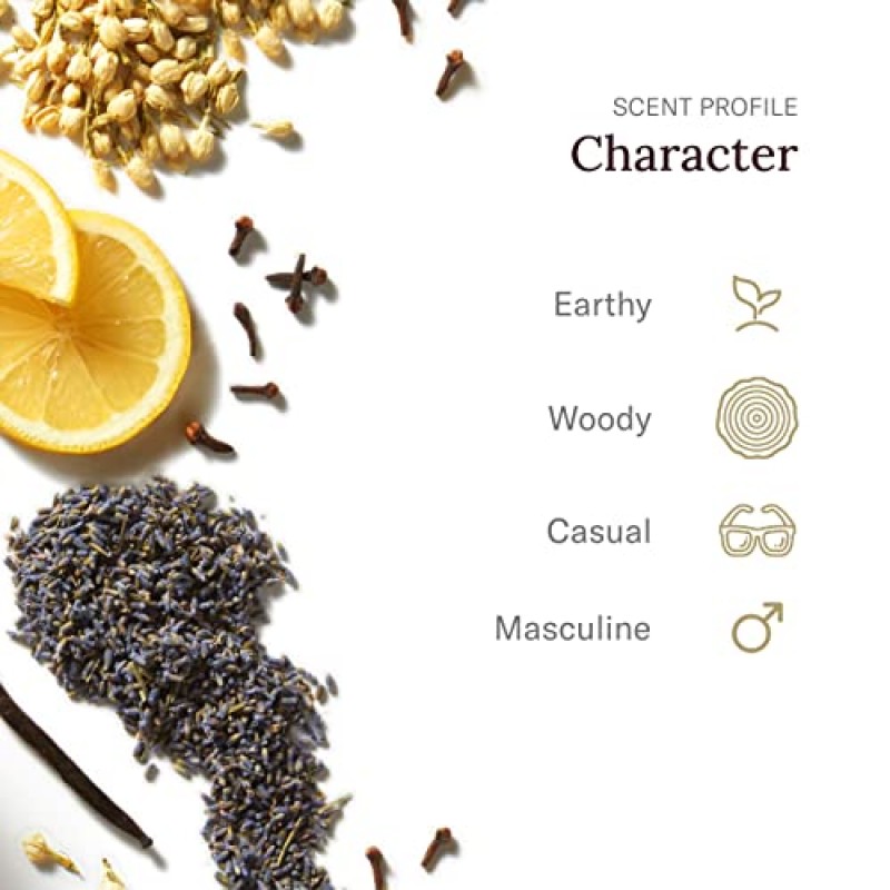 Scent Beauty - Stetson Personal Care - 올데이 바디 스프레이 - 3팩 - Stetson Original