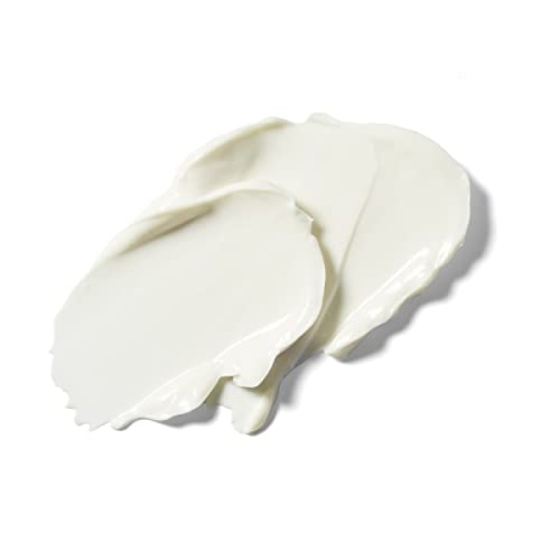 Weleda 스킨 푸드 페이스 케어 너리싱 나이트 크림, 1.3액량 온스, 사차인치 오일, 시카 및 스쿠알란이 함유된 식물 리치 모이스처라이저