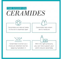 Curel 일본 스킨 케어 여행용 세면용품, 건조하고 민감한 피부용, 여행용 세안제, 여행용 사이즈 로션, 여행용 사이즈 메이크업 리무버