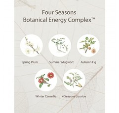 수려한 THE SAGA OF SOO BOTANICAL ENERGY - 한국 스킨케어 선물 세트, 보태니컬 에너지 부스팅 토너, 밸런싱 모이스처라이저, 크림, 폼 클렌저(360ml / 12.17 Fl Oz) by LG BEAUTY