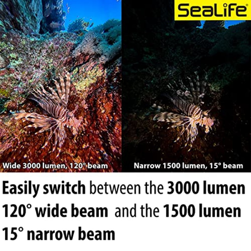 SeaLife Sea Dragon 3000SF Pro 듀얼 빔 소형 수중 스쿠버 다이빙 사진-비디오 COB LED 조명, 2빔 각도 조명 키트(SL679)